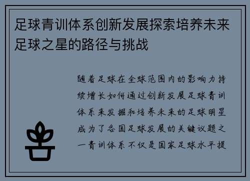 足球青训体系创新发展探索培养未来足球之星的路径与挑战