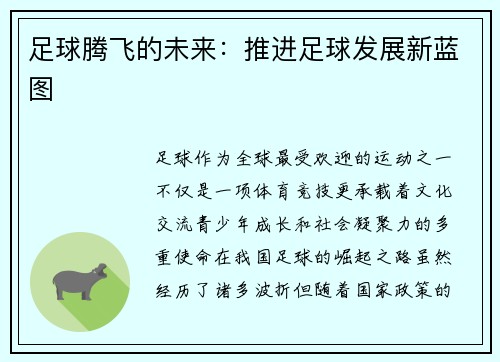 足球腾飞的未来：推进足球发展新蓝图